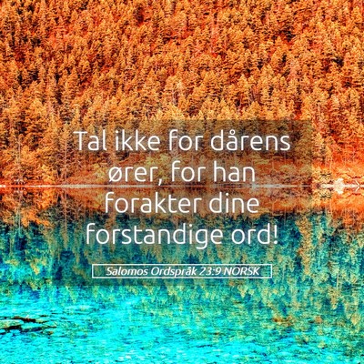 Picture 05 - Salomos Ordspråk 23:9 NORSK - Tal ikke for dårens ører, for han forakter dine - Bible Verse Picture