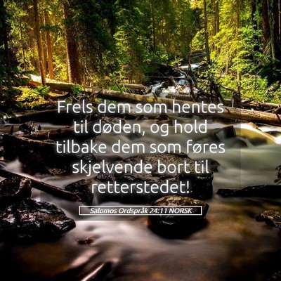 Picture 05 - Salomos Ordspråk 24:11 NORSK - Frels dem som hentes til døden, og hold tilbake - Bible Verse Picture