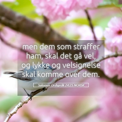 Picture 05 - Salomos Ordspråk 24:25 NORSK - men dem som straffer ham, skal det gå vel, og - Bible Verse Picture