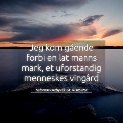 Picture 05 - Salomos Ordspråk 24:30 NORSK - Jeg kom gående forbi en lat manns mark, et - Bible Verse Picture