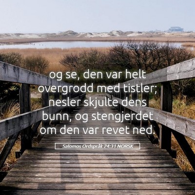 Picture 05 - Salomos Ordspråk 24:31 NORSK - og se, den var helt overgrodd med tistler; nesler - Bible Verse Picture