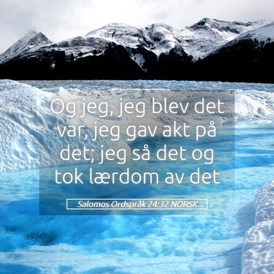 Picture 05 - Salomos Ordspråk 24:32 NORSK - Og jeg, jeg blev det var, jeg gav akt på det; - Bible Verse Picture