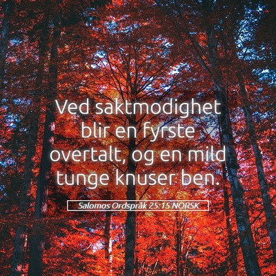 Picture 05 - Salomos Ordspråk 25:15 NORSK - Ved saktmodighet blir en fyrste overtalt, og en - Bible Verse Picture