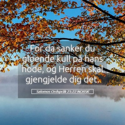 Picture 05 - Salomos Ordspråk 25:22 NORSK - For da sanker du gloende kull på hans hode, og - Bible Verse Picture