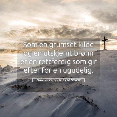 Picture 05 - Salomos Ordspråk 25:26 NORSK - Som en grumset kilde og en utskjemt brønn er en - Bible Verse Picture