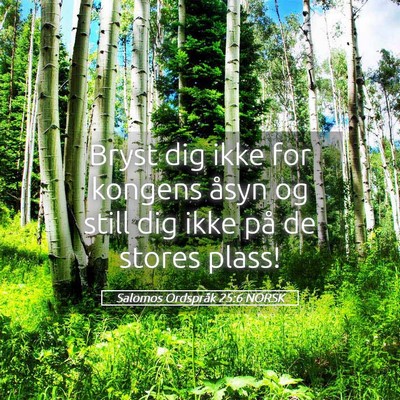 Picture 05 - Salomos Ordspråk 25:6 NORSK - Bryst dig ikke for kongens åsyn og still dig - Bible Verse Picture