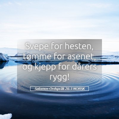 Picture 05 - Salomos Ordspråk 26:3 NORSK - Svepe for hesten, tømme for asenet, og kjepp for - Bible Verse Picture