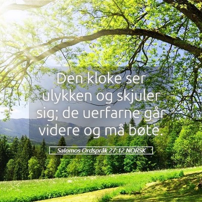 Picture 05 - Salomos Ordspråk 27:12 NORSK - Den kloke ser ulykken og skjuler sig; de uerfarne - Bible Verse Picture