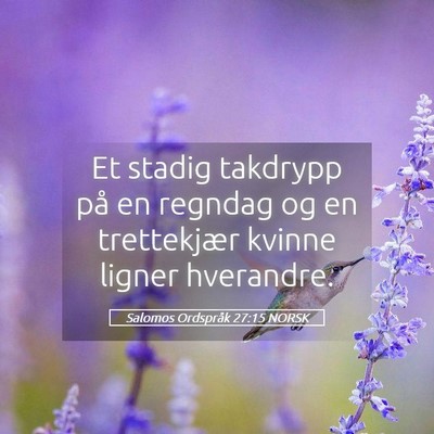 Picture 05 - Salomos Ordspråk 27:15 NORSK - Et stadig takdrypp på en regndag og en - Bible Verse Picture