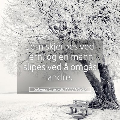 Picture 05 - Salomos Ordspråk 27:17 NORSK - Jern skjerpes ved jern, og en mann slipes ved å - Bible Verse Picture