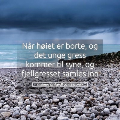 Picture 05 - Salomos Ordspråk 27:25 NORSK - Når høiet er borte, og det unge gress kommer - Bible Verse Picture