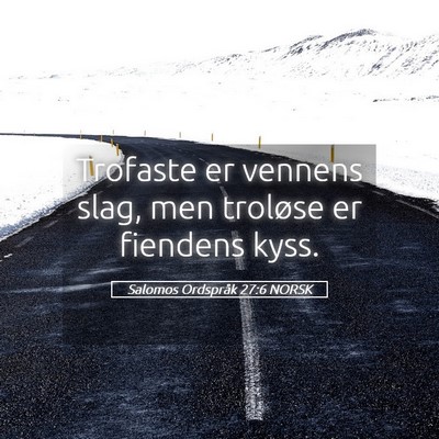 Picture 05 - Salomos Ordspråk 27:6 NORSK - Trofaste er vennens slag, men troløse er - Bible Verse Picture
