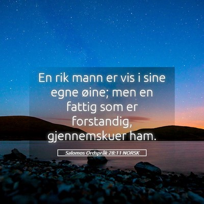 Picture 05 - Salomos Ordspråk 28:11 NORSK - En rik mann er vis i sine egne øine; men en - Bible Verse Picture