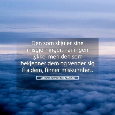 Picture 05 - Salomos Ordspråk 28:13 NORSK - Den som skjuler sine misgjerninger, har ingen - Bible Verse Picture