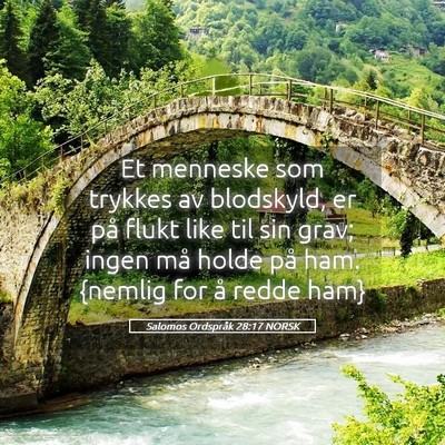 Picture 05 - Salomos Ordspråk 28:17 NORSK - Et menneske som trykkes av blodskyld, er på - Bible Verse Picture