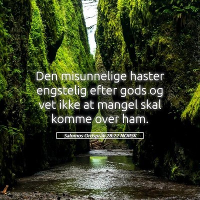 Picture 05 - Salomos Ordspråk 28:22 NORSK - Den misunnelige haster engstelig efter gods og - Bible Verse Picture