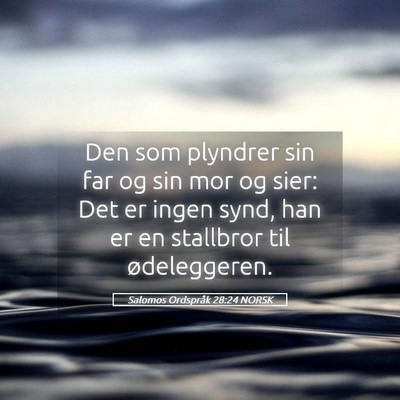 Picture 05 - Salomos Ordspråk 28:24 NORSK - Den som plyndrer sin far og sin mor og sier: Det - Bible Verse Picture