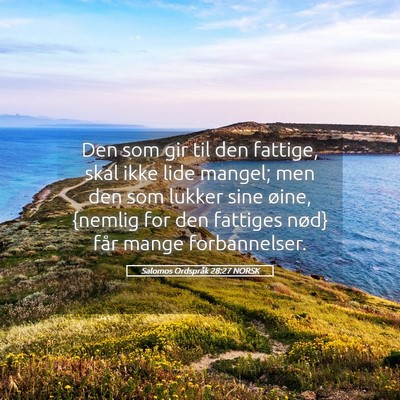 Picture 05 - Salomos Ordspråk 28:27 NORSK - Den som gir til den fattige, skal ikke lide - Bible Verse Picture
