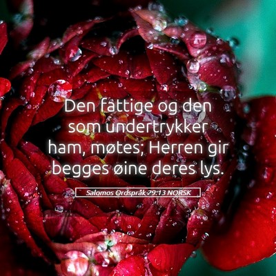 Picture 05 - Salomos Ordspråk 29:13 NORSK - Den fattige og den som undertrykker ham, møtes; - Bible Verse Picture