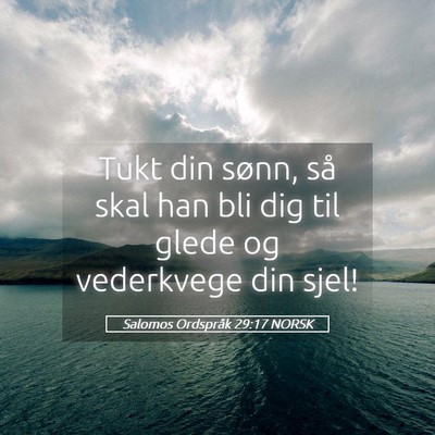 Picture 05 - Salomos Ordspråk 29:17 NORSK - Tukt din sønn, så skal han bli dig til glede og - Bible Verse Picture