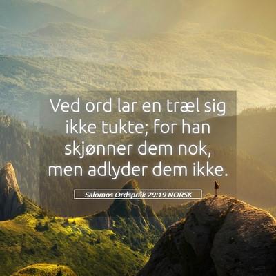 Picture 05 - Salomos Ordspråk 29:19 NORSK - Ved ord lar en træl sig ikke tukte; for han - Bible Verse Picture