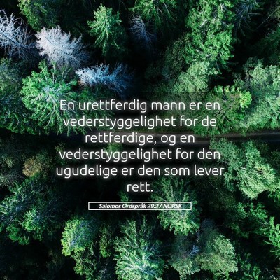 Picture 05 - Salomos Ordspråk 29:27 NORSK - En urettferdig mann er en vederstyggelighet for - Bible Verse Picture