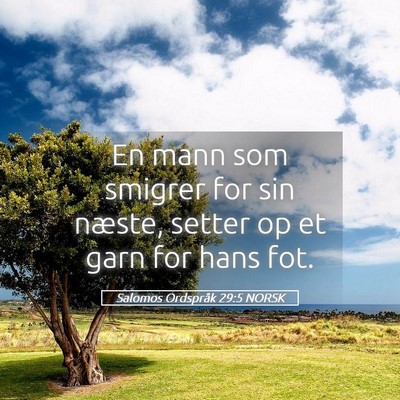 Picture 05 - Salomos Ordspråk 29:5 NORSK - En mann som smigrer for sin næste, setter op et - Bible Verse Picture