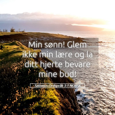 Picture 05 - Salomos Ordspråk 3:1 NORSK - Min sønn! Glem ikke min lære og la ditt hjerte - Bible Verse Picture