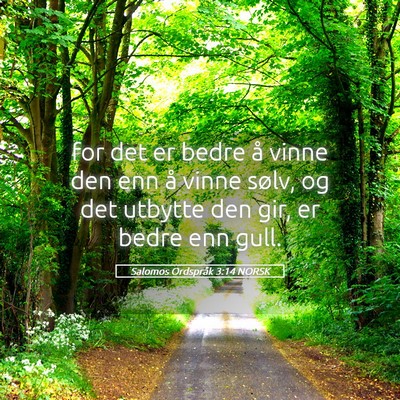 Picture 05 - Salomos Ordspråk 3:14 NORSK - for det er bedre å vinne den enn å vinne sølv, - Bible Verse Picture
