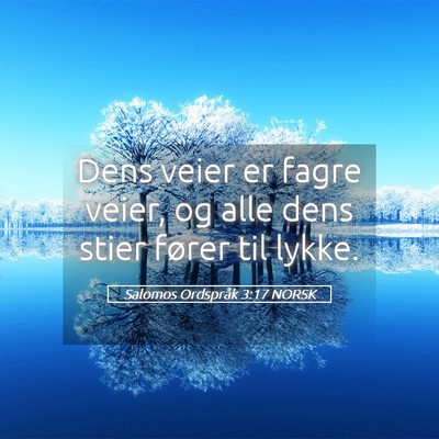 Picture 05 - Salomos Ordspråk 3:17 NORSK - Dens veier er fagre veier, og alle dens stier - Bible Verse Picture