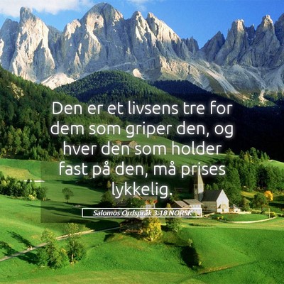 Picture 05 - Salomos Ordspråk 3:18 NORSK - Den er et livsens tre for dem som griper den, og - Bible Verse Picture