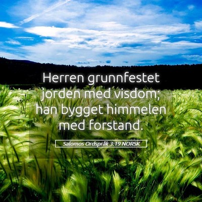 Picture 05 - Salomos Ordspråk 3:19 NORSK - Herren grunnfestet jorden med visdom; han bygget - Bible Verse Picture