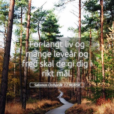 Picture 05 - Salomos Ordspråk 3:2 NORSK - For langt liv og mange leveår og fred skal de gi - Bible Verse Picture