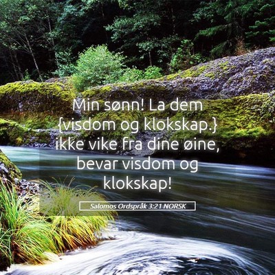 Picture 05 - Salomos Ordspråk 3:21 NORSK - Min sønn! La dem {visdom og klokskap.} ikke vike - Bible Verse Picture