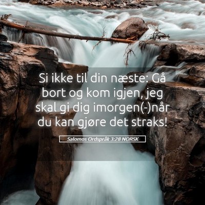 Picture 05 - Salomos Ordspråk 3:28 NORSK - Si ikke til din næste: Gå bort og kom igjen, - Bible Verse Picture