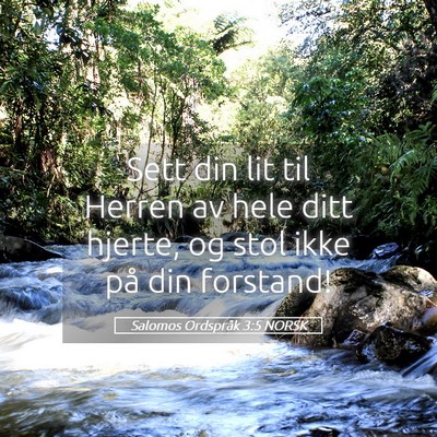 Picture 05 - Salomos Ordspråk 3:5 NORSK - Sett din lit til Herren av hele ditt hjerte, og - Bible Verse Picture