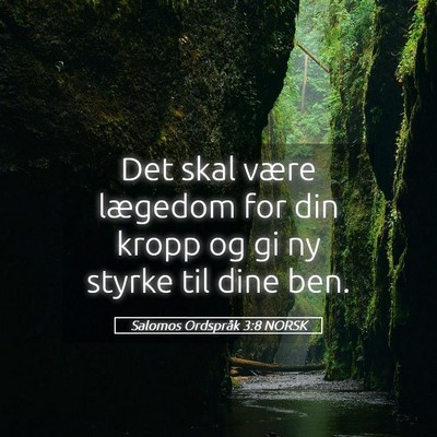 Picture 05 - Salomos Ordspråk 3:8 NORSK - Det skal være lægedom for din kropp og gi ny - Bible Verse Picture