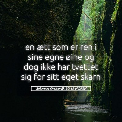 Picture 05 - Salomos Ordspråk 30:12 NORSK - en ætt som er ren i sine egne øine og dog ikke - Bible Verse Picture