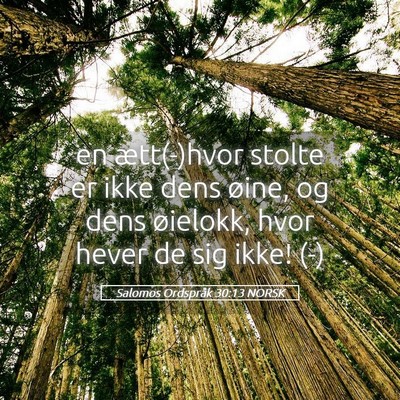 Picture 05 - Salomos Ordspråk 30:13 NORSK - en ætt(-)hvor stolte er ikke dens øine, og dens - Bible Verse Picture