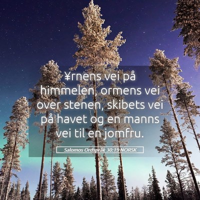 Picture 05 - Salomos Ordspråk 30:19 NORSK - ¥rnens vei på himmelen, ormens vei over stenen, - Bible Verse Picture