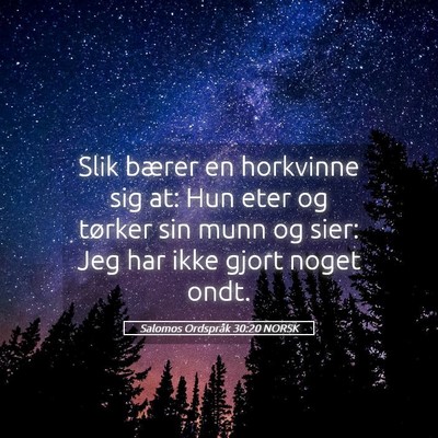 Picture 05 - Salomos Ordspråk 30:20 NORSK - Slik bærer en horkvinne sig at: Hun eter og - Bible Verse Picture