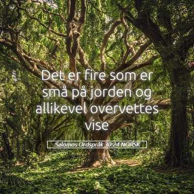 Picture 05 - Salomos Ordspråk 30:24 NORSK - Det er fire som er små på jorden og allikevel - Bible Verse Picture