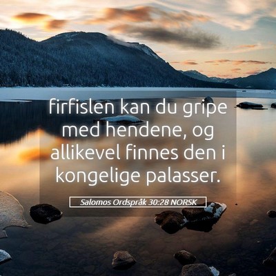 Picture 05 - Salomos Ordspråk 30:28 NORSK - firfislen kan du gripe med hendene, og allikevel - Bible Verse Picture