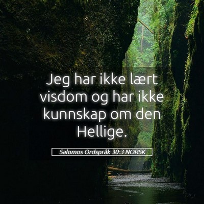Picture 05 - Salomos Ordspråk 30:3 NORSK - Jeg har ikke lært visdom og har ikke kunnskap om - Bible Verse Picture