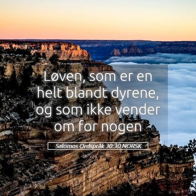 Picture 05 - Salomos Ordspråk 30:30 NORSK - Løven, som er en helt blandt dyrene, og som ikke - Bible Verse Picture