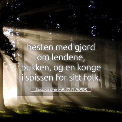 Picture 05 - Salomos Ordspråk 30:31 NORSK - hesten med gjord om lendene, bukken, og en konge - Bible Verse Picture