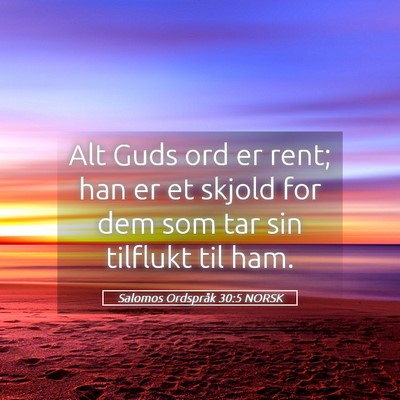 Picture 05 - Salomos Ordspråk 30:5 NORSK - Alt Guds ord er rent; han er et skjold for dem - Bible Verse Picture