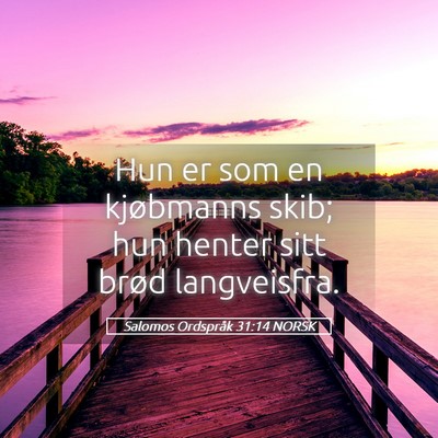 Picture 05 - Salomos Ordspråk 31:14 NORSK - Hun er som en kjøbmanns skib; hun henter sitt - Bible Verse Picture