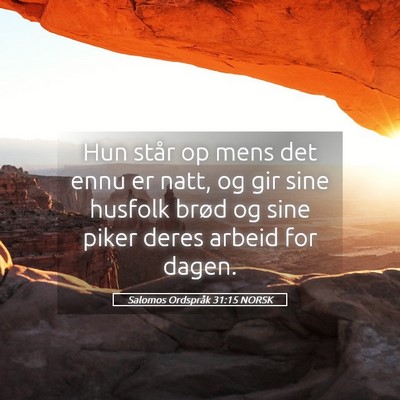 Picture 05 - Salomos Ordspråk 31:15 NORSK - Hun står op mens det ennu er natt, og gir sine - Bible Verse Picture