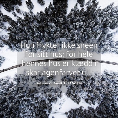 Picture 05 - Salomos Ordspråk 31:21 NORSK - Hun frykter ikke sneen for sitt hus; for hele - Bible Verse Picture